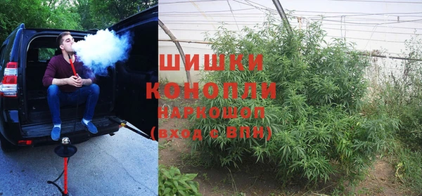 PSILOCYBIN Абинск