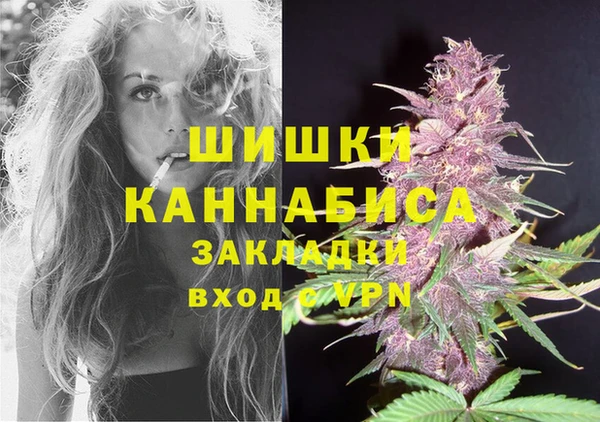 PSILOCYBIN Абинск