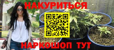 трава Будённовск