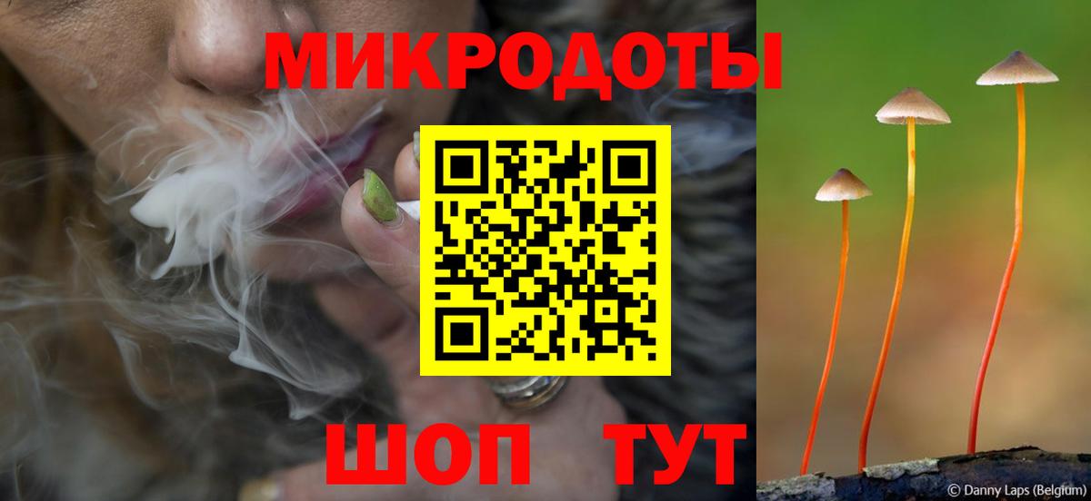 Псилоцибиновые грибы MAGIC MUSHROOMS Балахна